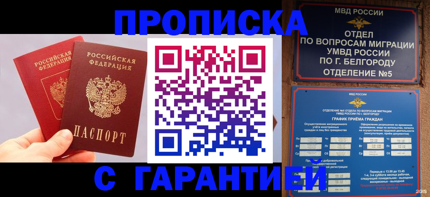 прописка 2025 в Большом Камне
